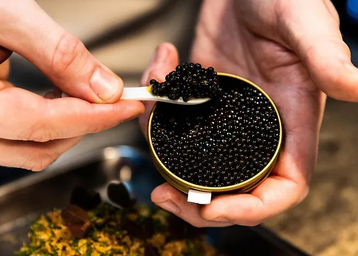 Grano Solmarina Hotel 4*